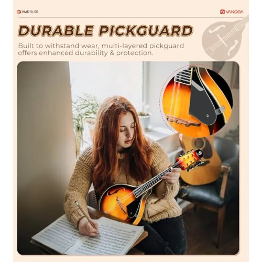 A Style Acoustic Mandolin Instrument Kit