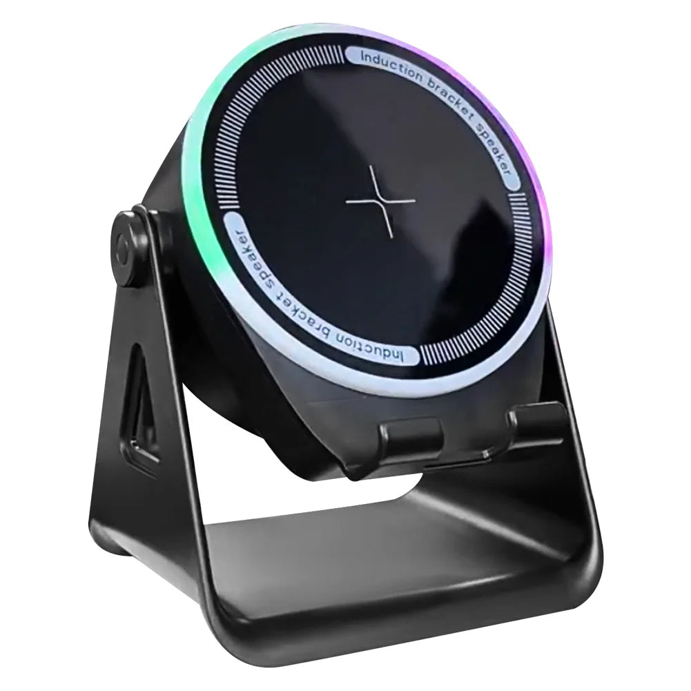 Wireless Induction Speaker