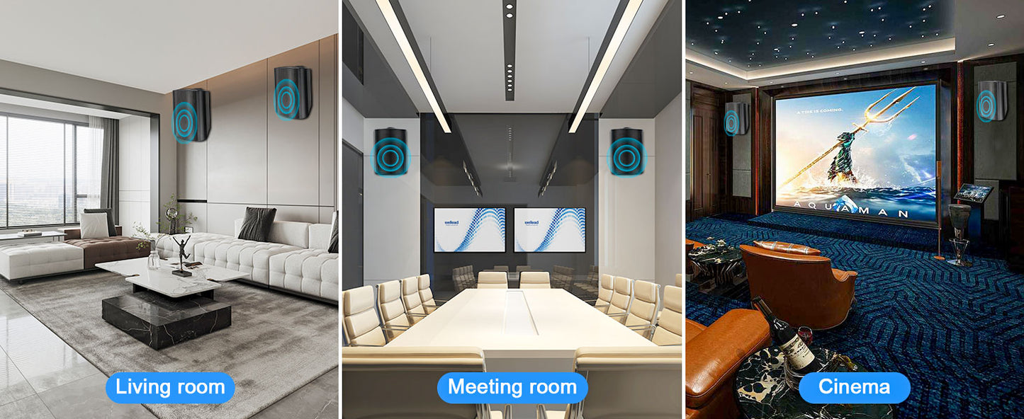 5.25'' 600 Watts Passive Indoor Outdoor Speakers