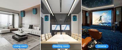 5.25'' 600 Watts Passive Indoor Outdoor Speakers