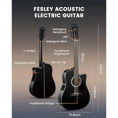 12 String Full Size Acoustic/Electric Guitar