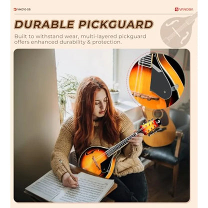 A Style Acoustic Mandolin Instrument Kit
