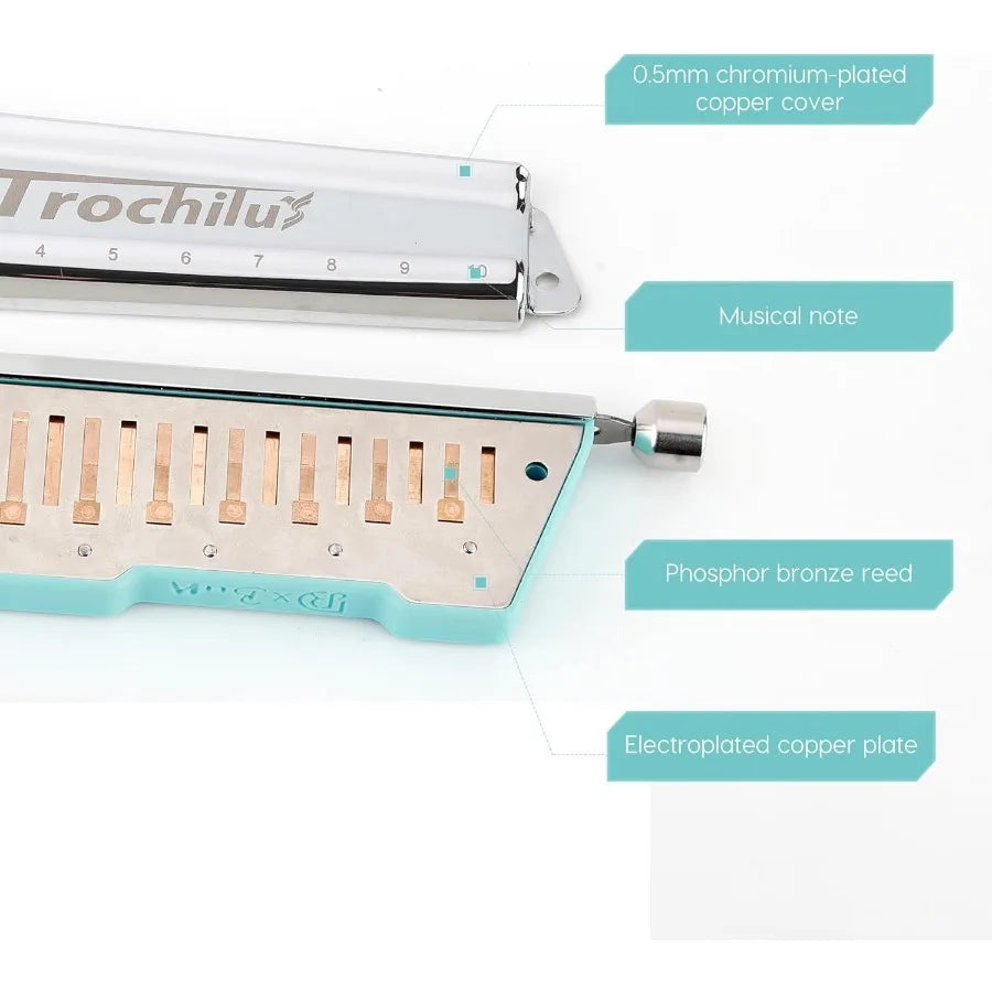 10 Hole Chromatic Harmonica