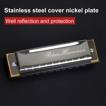Harmonica Key of C 10 Hole Diatonic Harmonica