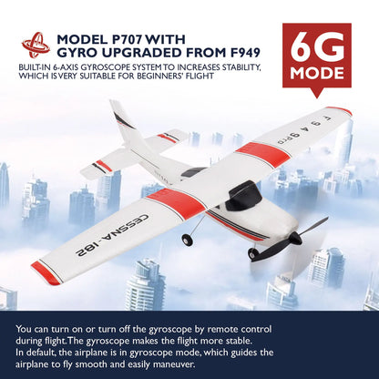 RC Airplane F949 2.4G 3D6G 3Ch Fixed Wing Plane Digital Servo With Gyroscope