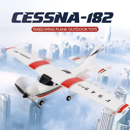 RC Airplane F949 2.4G 3D6G 3Ch Fixed Wing Plane Digital Servo With Gyroscope