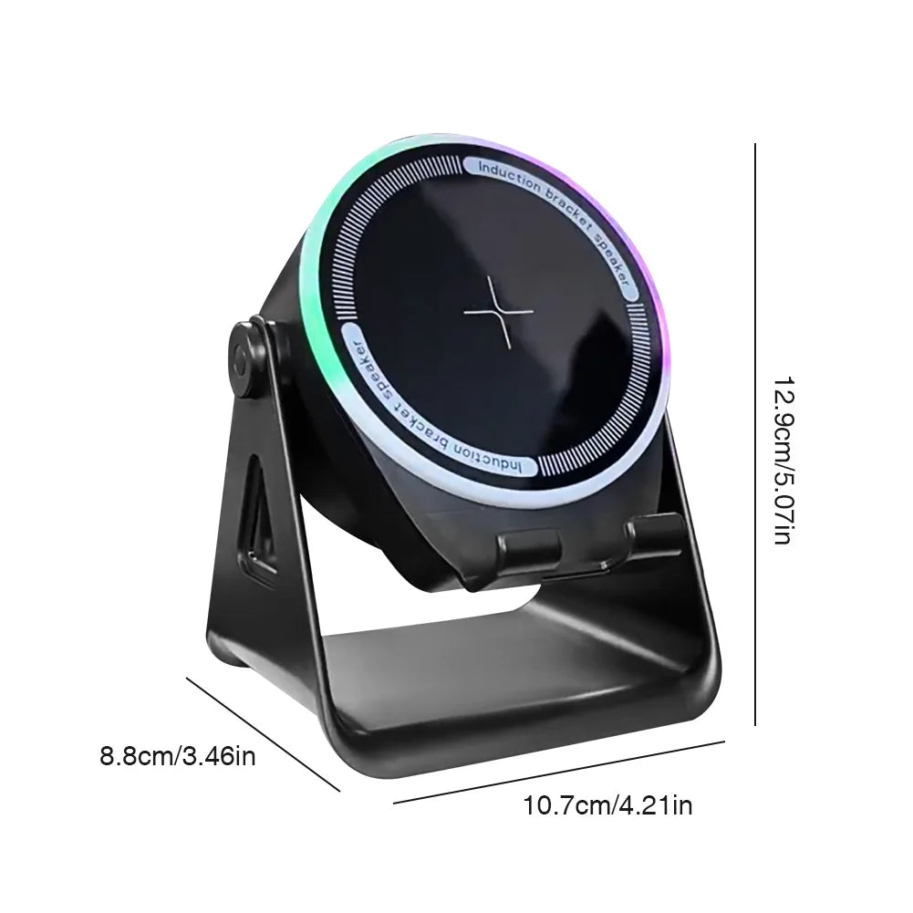 Wireless Induction Speaker