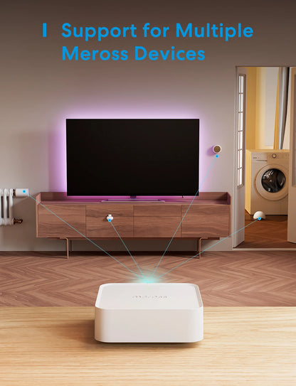 Smart Wi-Fi Hub Multi-model Smart Home Bridge