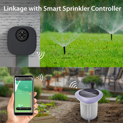 Smart Solar Soil Sensor Planting Temperature and Humidity Meter