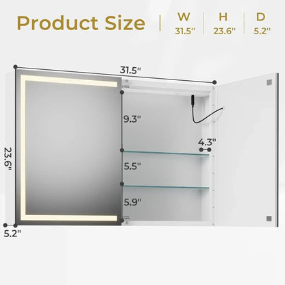 LED Lighted 2 Door Medicine Cabinet with Mirror and Storage
