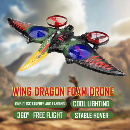 Pterosaur RC Plane 2.4G 6-Axis Gyro Remote Control Airplane