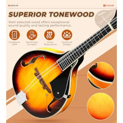 A Style Acoustic Mandolin Instrument Kit