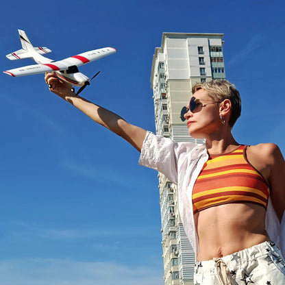 RC Airplane F949 2.4G 3D6G 3Ch Fixed Wing Plane Digital Servo With Gyroscope