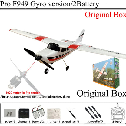 RC Airplane F949 2.4G 3D6G 3Ch Fixed Wing Plane Digital Servo With Gyroscope