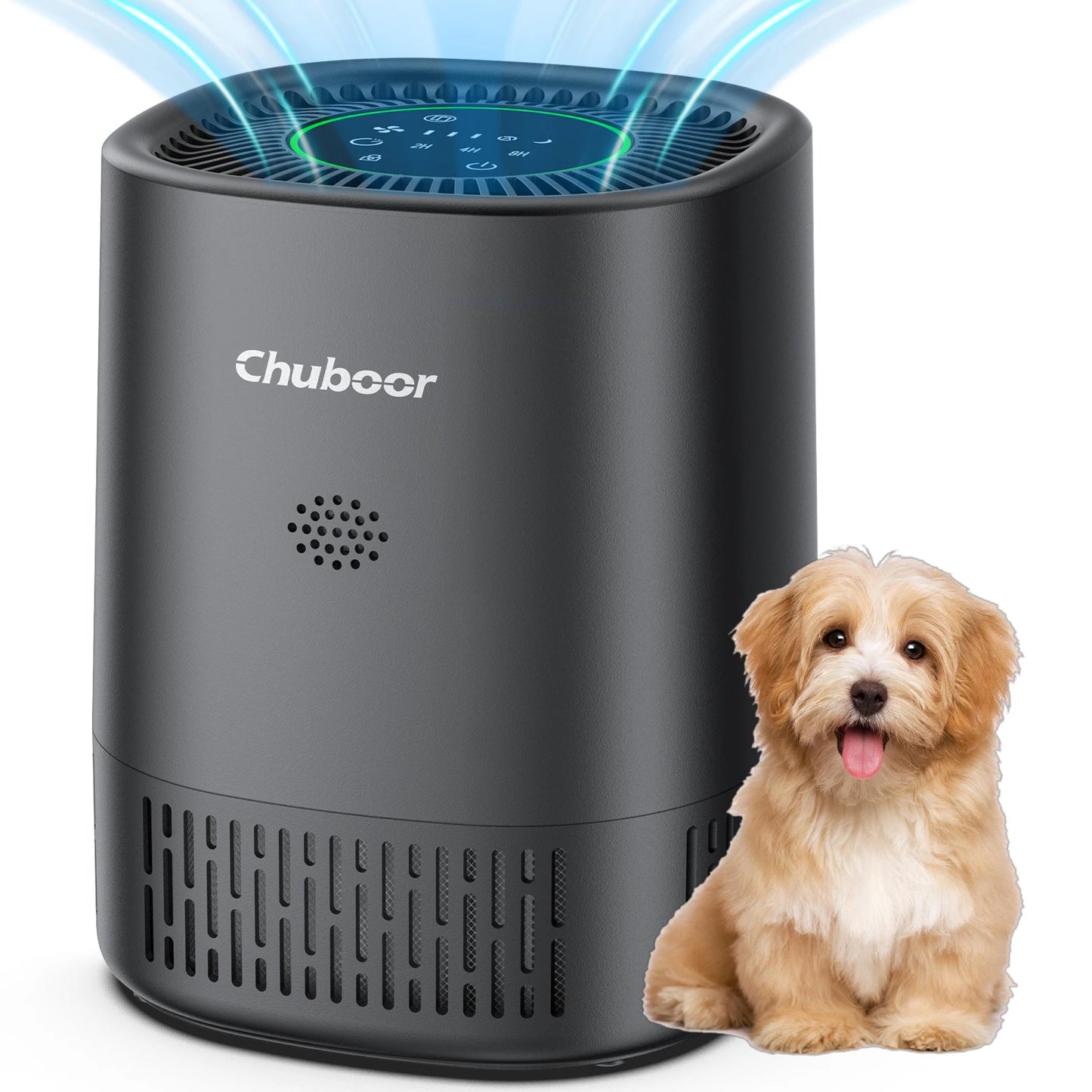Air Purifiers for Bedroom