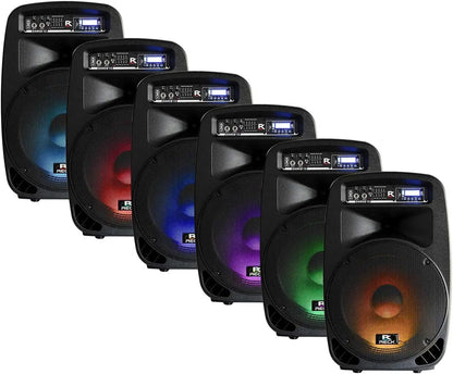 Portable 12-Inch 1000 Watts 2-Way Speaker System