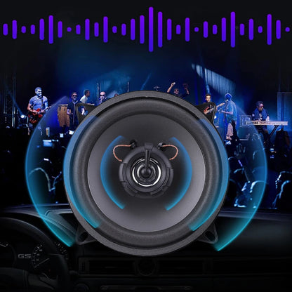 4/5/6 Inch HiFi Coaxial Subwoofer