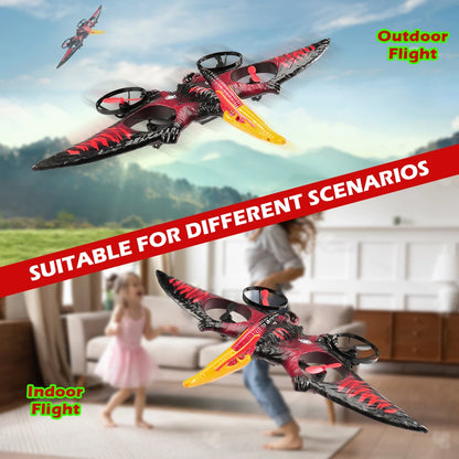 Pterosaur RC Plane 2.4G 6-Axis Gyro Remote Control Airplane