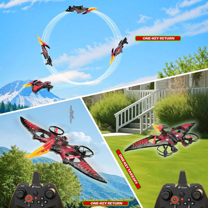 Pterosaur RC Plane 2.4G 6-Axis Gyro Remote Control Airplane