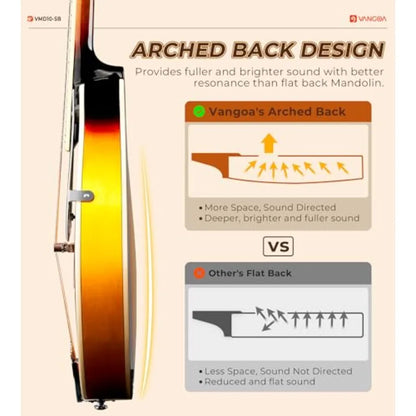 A Style Acoustic Mandolin Instrument Kit