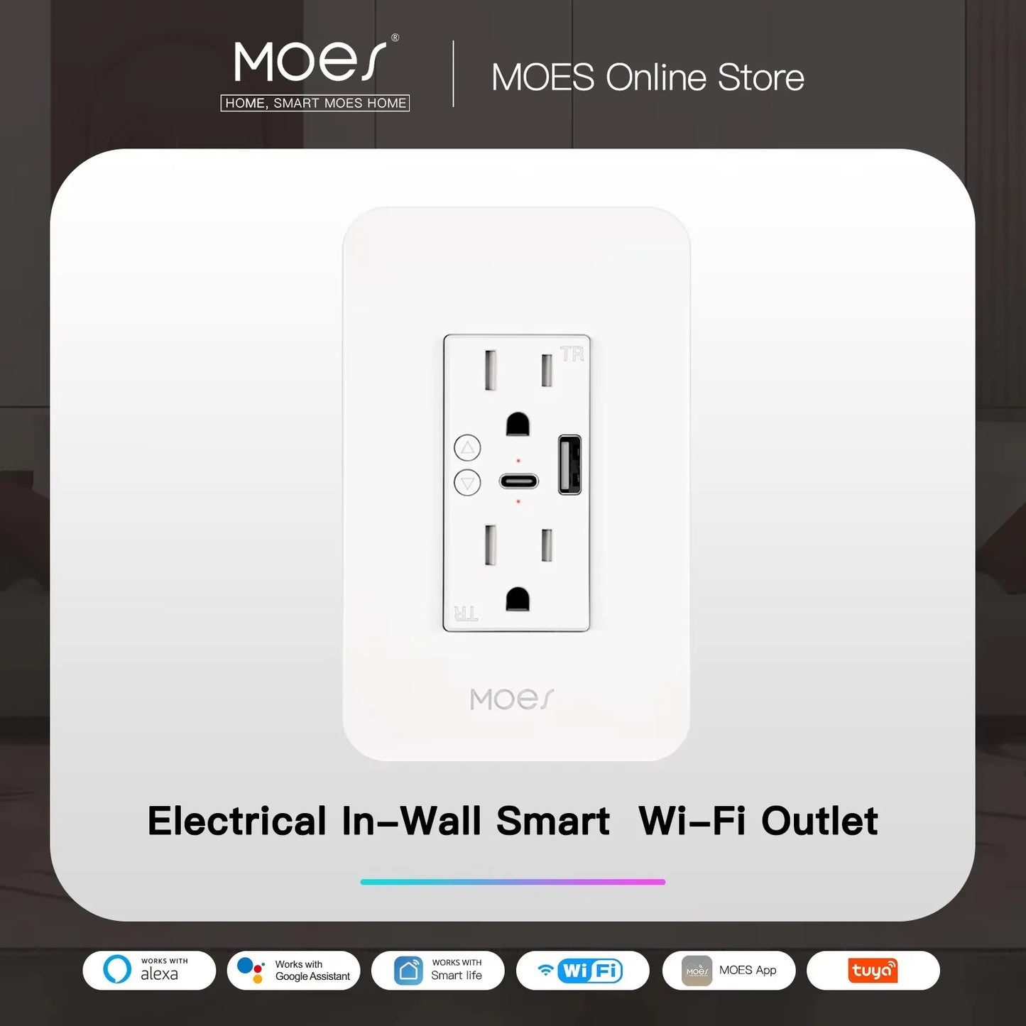 WiFi Smart Power Wall Socket with Type C USB Dual Power Outlets