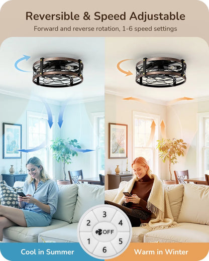 Quiet DC Motor Ceiling Fan with Dimmable Light Remote Brushed Gold