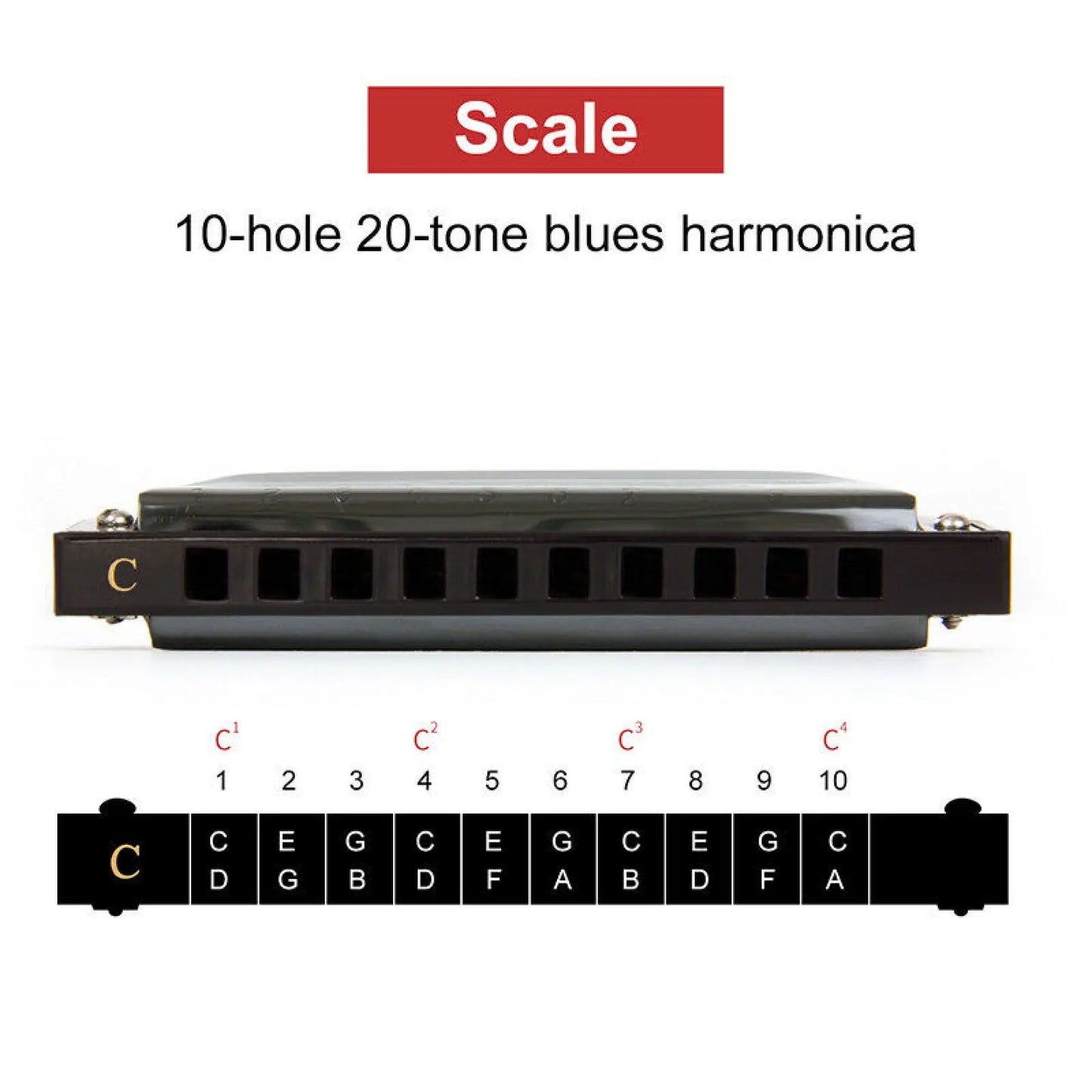 Harmonica Key of C 10 Hole Diatonic Harmonica