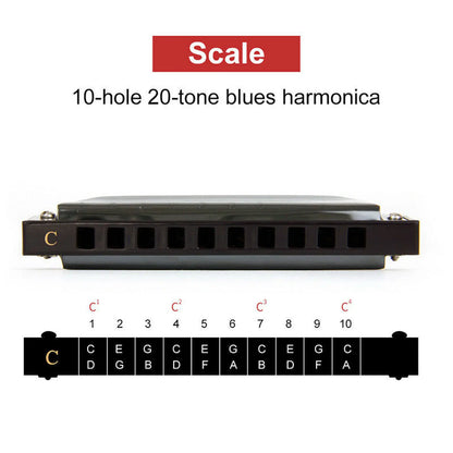 Harmonica Key of C 10 Hole Diatonic Harmonica
