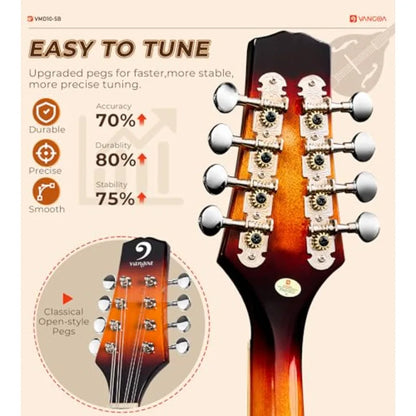 A Style Acoustic Mandolin Instrument Kit