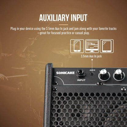 20W Portable Bluetooth Amplifier