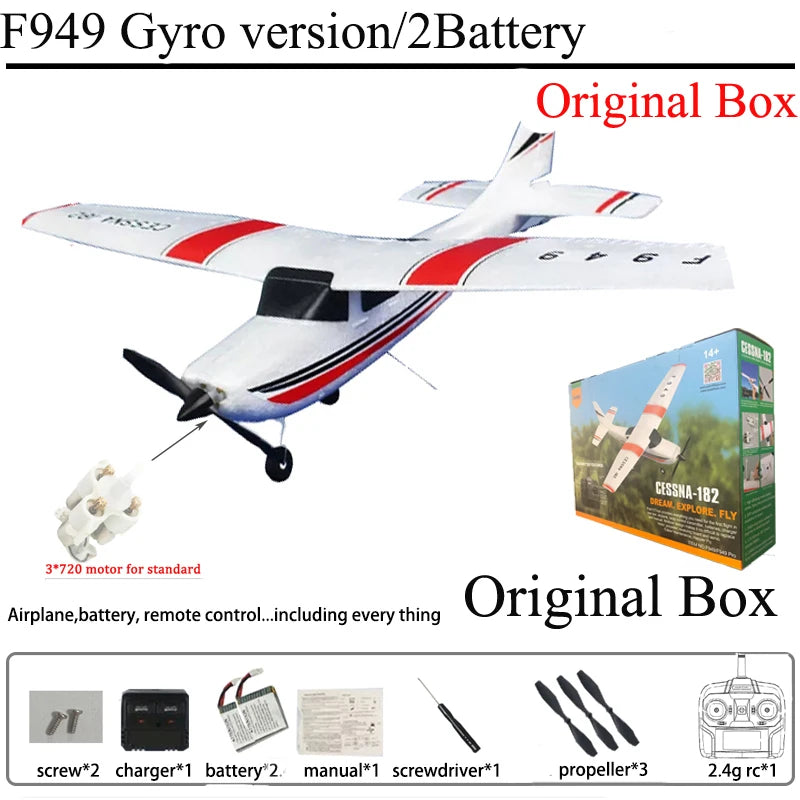 RC Airplane F949 2.4G 3D6G 3Ch Fixed Wing Plane Digital Servo With Gyroscope