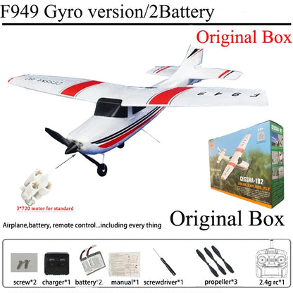 RC Airplane F949 2.4G 3D6G 3Ch Fixed Wing Plane Digital Servo With Gyroscope