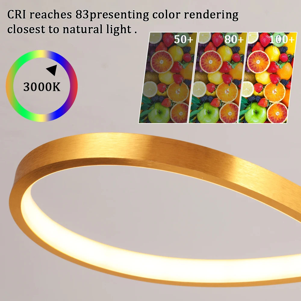 Nordic LED Pendant Ceiling Light - Art Design Minimalist Hanging Light Fixture Indoor Lighting