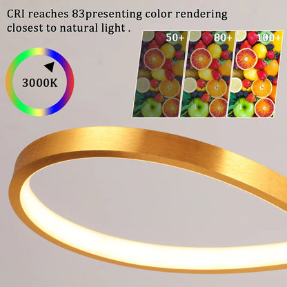 Nordic LED Pendant Ceiling Light - Art Design Minimalist Hanging Light Fixture Indoor Lighting