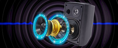 2PCS 300W 5.25'' Outdoor Waterproof Passive Speakers